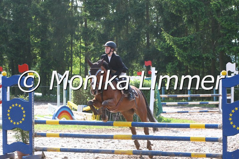 104M7713_Spring A.JPG